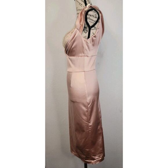 Diva Corsets Bodycon Midi Dress Sz Small Satin Blush Lace Trim Regencycore Fairy - Picture 7 of 10